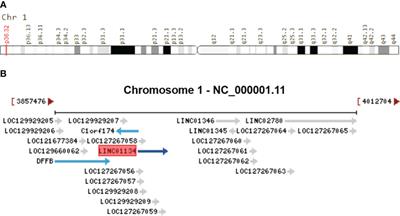 LINC01134: a pivotal oncogene with promising predictive maker and therapeutic target in hepatocellular carcinoma